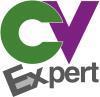 Firmenlogo CV Expert (Bewerbungsberatung)