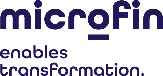 Firmenlogo microfin Unternehmensberatung GmbH