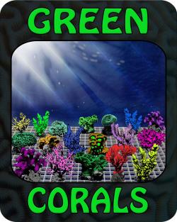 Firmenlogo Green Corals Stephan Moldzio