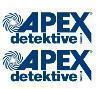 Firmenlogo Detektei Apex Detektive GmbH Nürnberg