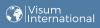 Firmenlogo Visum International