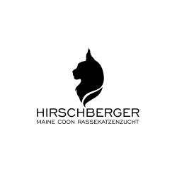 Firmenlogo Hirschberger Maine Coon Zucht (Tierzüchter)