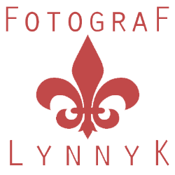 Firmenlogo Newborn und Babyfotograf Lynnyk in Frankfurt und Königstein