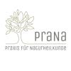 Firmenlogo PraNa - Praxis für Naturheilkunde